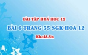 Bài 6 trang 55 SGK Hoá 12: Nội dung về Peptit và Protein